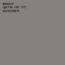 #86807F - Schooner Color Image