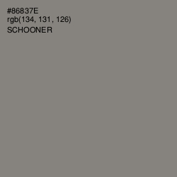 #86837E - Schooner Color Image