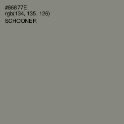 #86877E - Schooner Color Image
