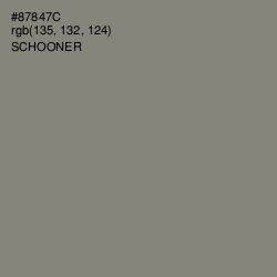 #87847C - Schooner Color Image