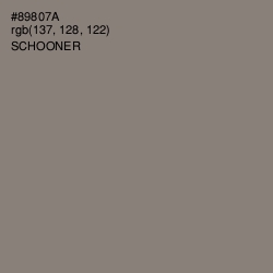 #89807A - Schooner Color Image
