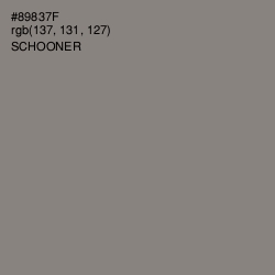 #89837F - Schooner Color Image