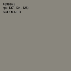 #89867E - Schooner Color Image