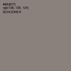 #8A807C - Schooner Color Image