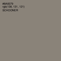 #8A8379 - Schooner Color Image