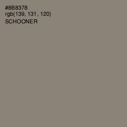 #8B8378 - Schooner Color Image