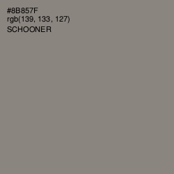 #8B857F - Schooner Color Image