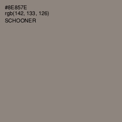 #8E857E - Schooner Color Image