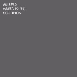 #615F62 - Scorpion Color Image