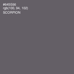 #645E66 - Scorpion Color Image