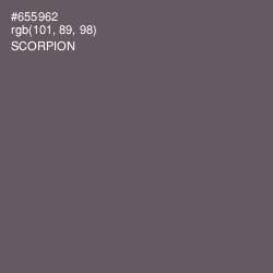 #655962 - Scorpion Color Image