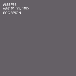 #655F66 - Scorpion Color Image