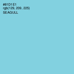 #81D1E1 - Seagull Color Image
