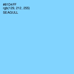 #81D4FF - Seagull Color Image