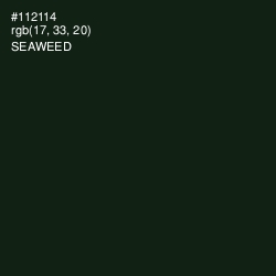 #112114 - Seaweed Color Image