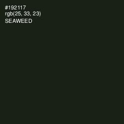 #192117 - Seaweed Color Image