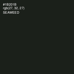#1B201B - Seaweed Color Image