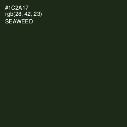 #1C2A17 - Seaweed Color Image
