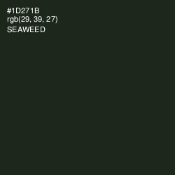 #1D271B - Seaweed Color Image