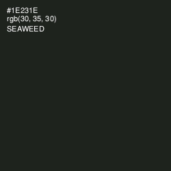 #1E231E - Seaweed Color Image