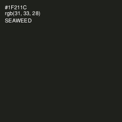 #1F211C - Seaweed Color Image