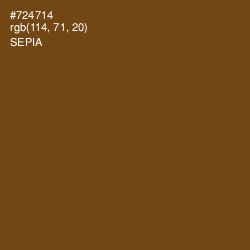 #724714 - Sepia Color Image