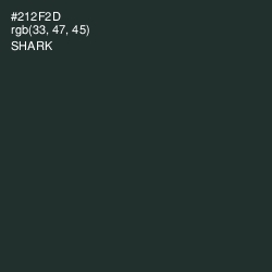 #212F2D - Shark Color Image