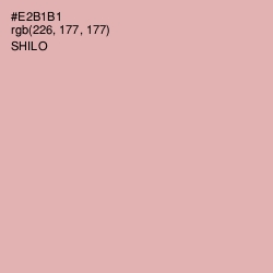 #E2B1B1 - Shilo Color Image