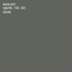 #60645C - Siam Color Image