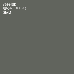 #61645D - Siam Color Image
