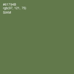 #61794B - Siam Color Image