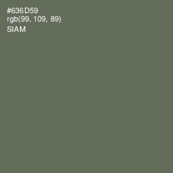 #636D59 - Siam Color Image