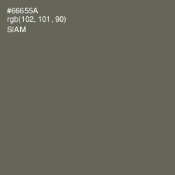 #66655A - Siam Color Image
