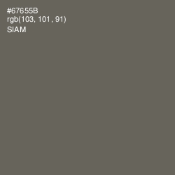 #67655B - Siam Color Image