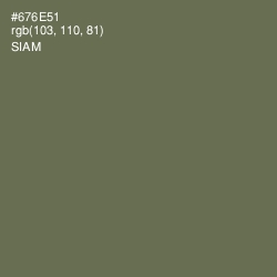 #676E51 - Siam Color Image