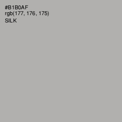 #B1B0AF - Silk Color Image