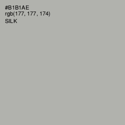 #B1B1AE - Silk Color Image