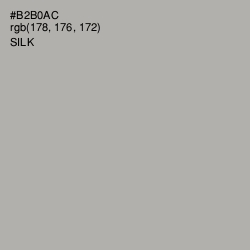 #B2B0AC - Silk Color Image
