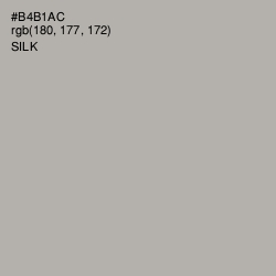 #B4B1AC - Silk Color Image