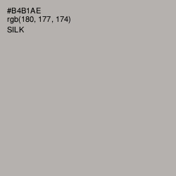 #B4B1AE - Silk Color Image