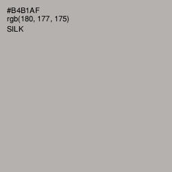 #B4B1AF - Silk Color Image