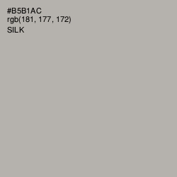 #B5B1AC - Silk Color Image