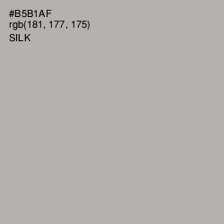 #B5B1AF - Silk Color Image
