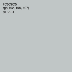 #C0C6C5 - Silver Color Image