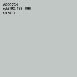 #C0C7C4 - Silver Color Image