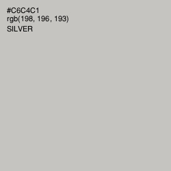 #C6C4C1 - Silver Color Image