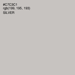 #C7C3C1 - Silver Color Image