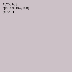 #CCC1C6 - Silver Color Image