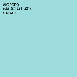 #9DDDDD - Sinbad Color Image
