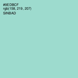 #9EDBCF - Sinbad Color Image